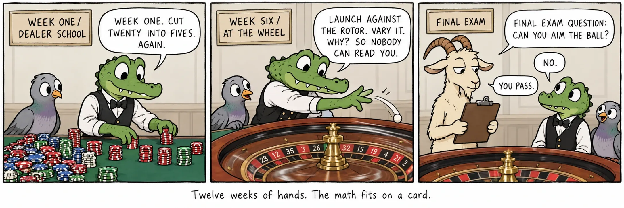 On iki hafta el emeği. Matematik bir karta sığar.